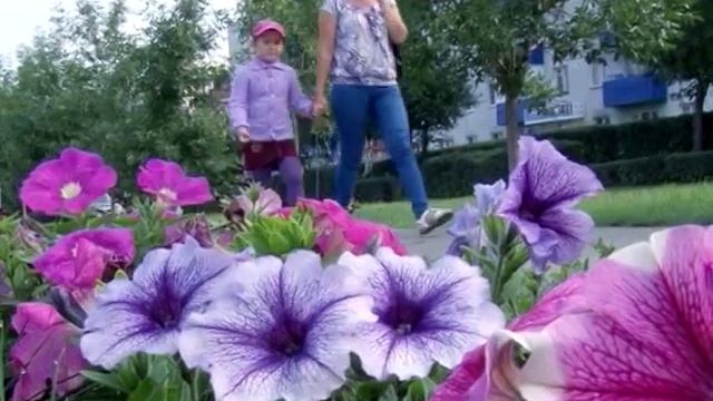 социальный ролик "моя родина" смотреть онлайн