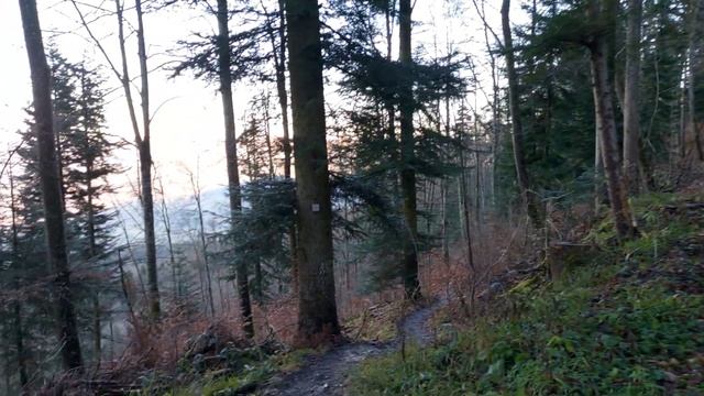 Замки Германии / Замок Гогенцоллерн / Burg Hohenzollern / Выпуск 18 смотреть онлайн