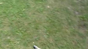 Поставил daytona 190 в питбайк 125 кубов