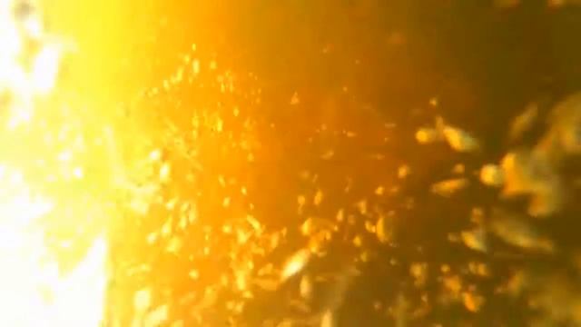 Золото лягушки смотреть онлайн