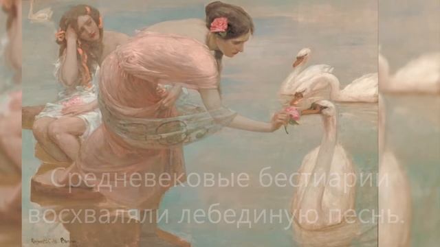 Птицы – символ в искусстве Часть III смотреть онлайн