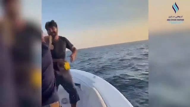 Get an adrenaline rush! ?? ? смотреть онлайн