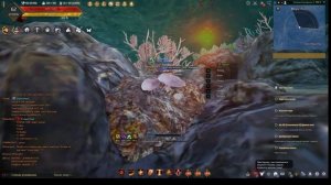 Сбор коралов и омаров BDO