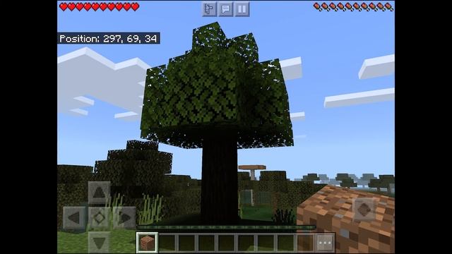 Cursed Minecraft Images with MC cave sounds[Varied Tone] смотреть онлайн