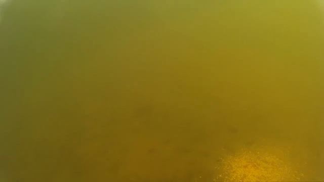 речка Скалба, подводные съемки. Skalba underwater 13.12.2015 смотреть онлайн