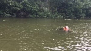 Cузуки 4 (4 тактный) и Лодка 370 см - будет ли глиссирование?