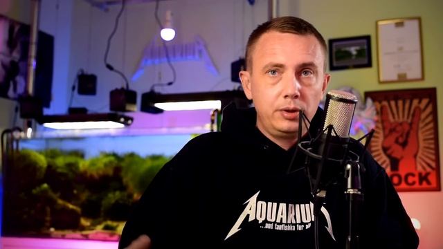 Коричневый налет в аквариуме, как задушигубить диатомовые водоросли?