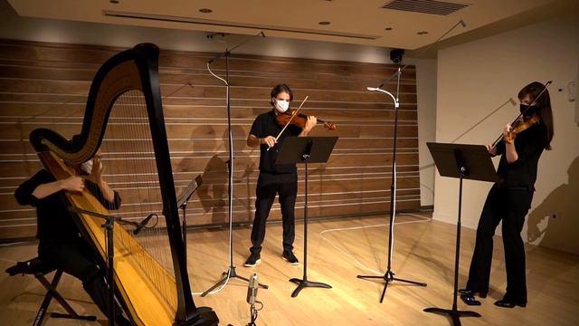 The Universe Remembers Gravitational Waves by Martha Horst смотреть онлайн