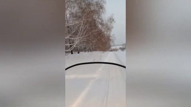 Снегоход динго покатушки. Сибирские просторы. смотреть онлайн