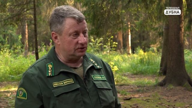 На тему дня. Про летний лес: правила безопасности и советы смотреть онлайн