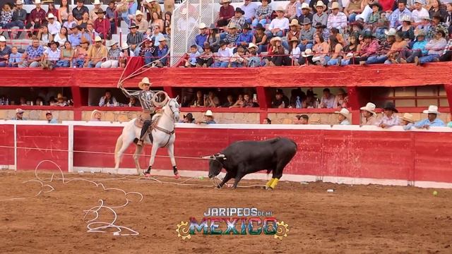 Duelo de Ganaderias Rancho Laguna Seca Vs Los Lagunos En la Monumental de Morelia смотреть онлайн