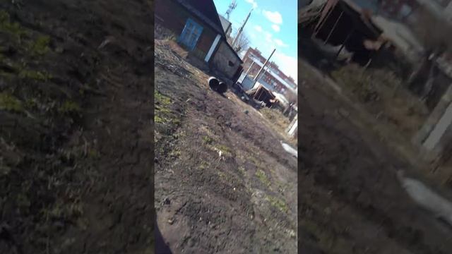 Марганцовка + серебрянка смотреть онлайн