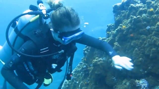 Акулий остров без акул смотреть онлайн