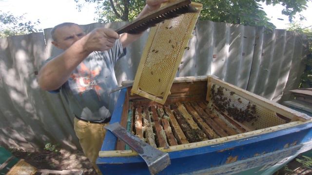 Очередная качка мёда B69 у Отца на пасеке 09.08.2021 Часть 1 Sweet honey смотреть онлайн