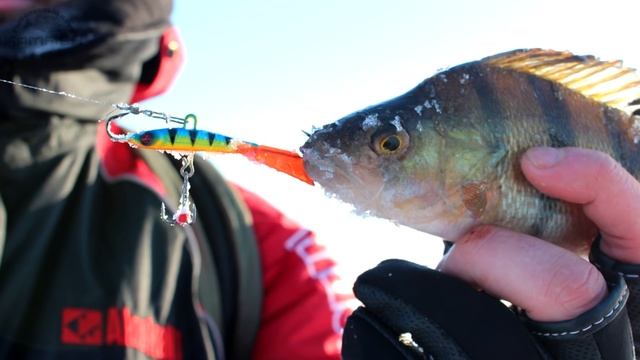 Ловля окуня на балансир SPRUT KAMO. Как поймать окуня зимой. Kamfish смотреть онлайн