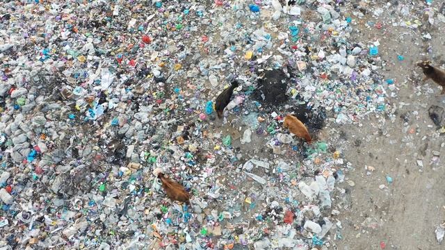 Мусорная свалка города Кербен смотреть онлайн