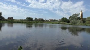Рыбалка на карася в Августе  на поплавок !