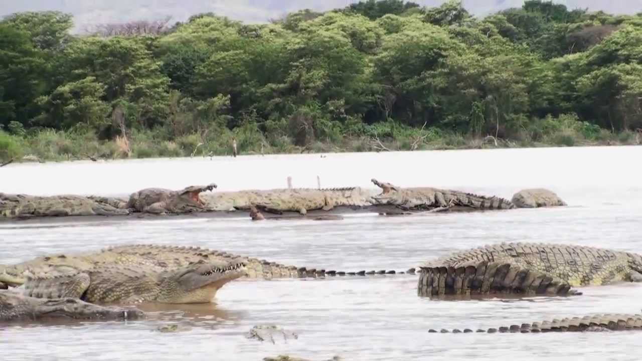 Part 4. Chamo lake смотреть онлайн