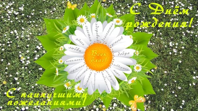 Волшебная ромашка для именинницы. Тифлооткрытка смотреть онлайн