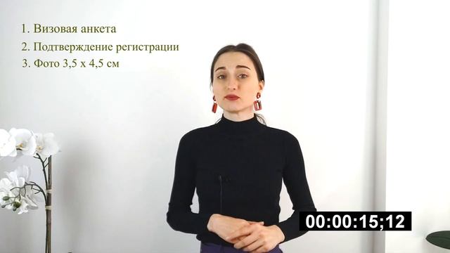 E-konsulat. Как сделать рабочую визу? смотреть онлайн