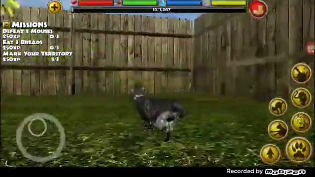 Платная игра симулятор кошки смотреть онлайн