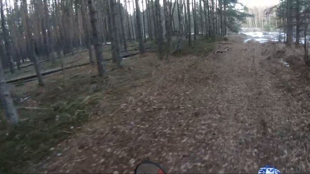 Regulmoto Sport 003. Пятница вечер. Прогулка по лесу. смотреть онлайн