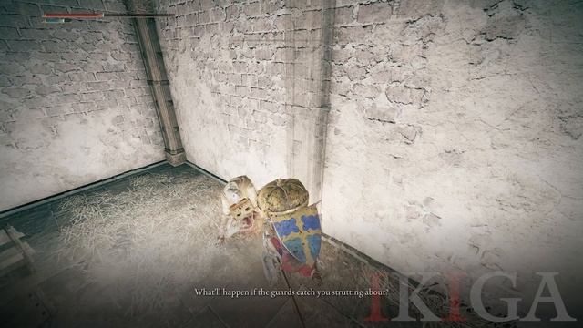 ELDEN RING - 3 TIMES GOSTOC STALKING & TRY TO KILL THE PLAYER IN STORMVEIL CASTLE (BEN FOX VOICED) смотреть онлайн