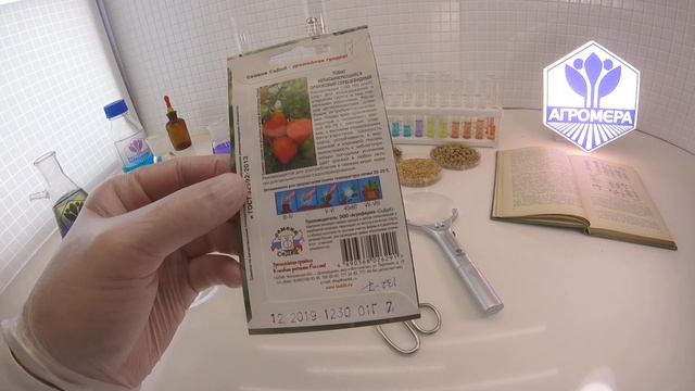 Томат Непасынкующийся оранжевый сердцевидный. СеДеК смотреть онлайн