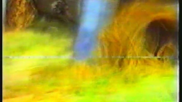 Caiman (Engish) 8' 00''.avi смотреть онлайн