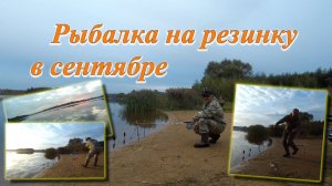 Рыбалка на резинку в сентябре Ловля леща
