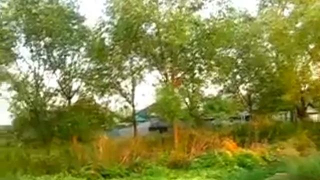Канаевские родники Пенза (relax videos) смотреть онлайн