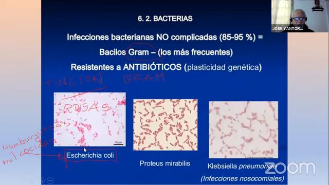 EXTRACCIONISTA Y LABORATORIO смотреть онлайн