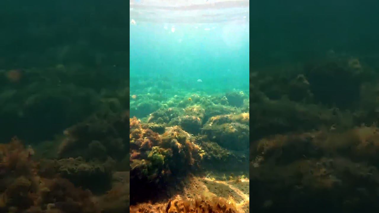 Пляж п."Южный" Подводные съемки смотреть онлайн