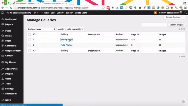 NextGen Gallery Plugin: How to upload an image смотреть онлайн