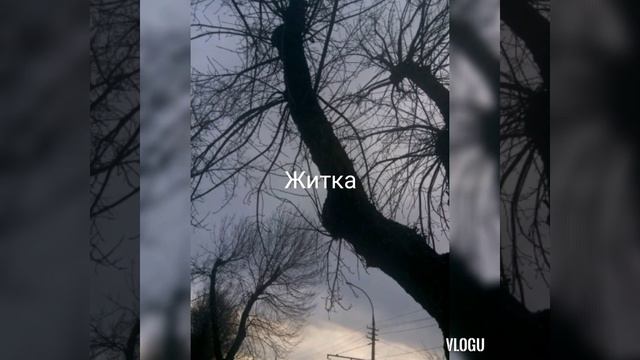 #Стих—#Житка.Анна Лосева 2.Стихи.ру смотреть онлайн