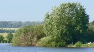 Ловля карпа летом на пруду