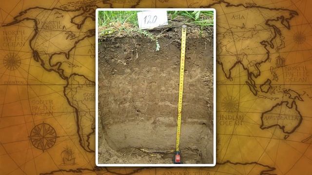 Основные типы почв России смотреть онлайн