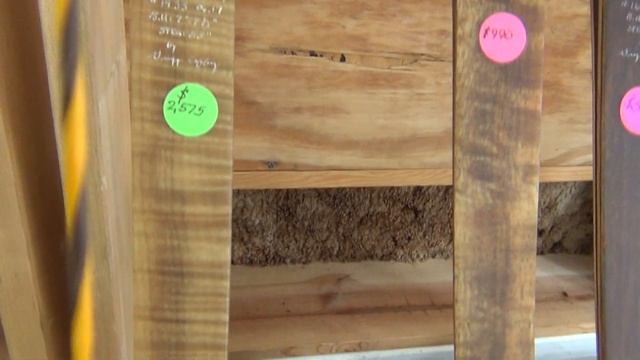 ETAR 2018 - Javaman Archery