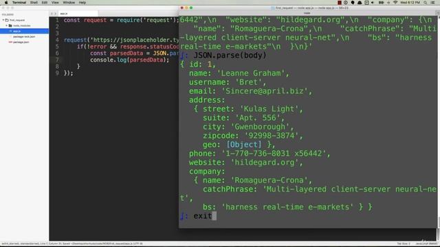 JSON Placeholder API Example смотреть онлайн