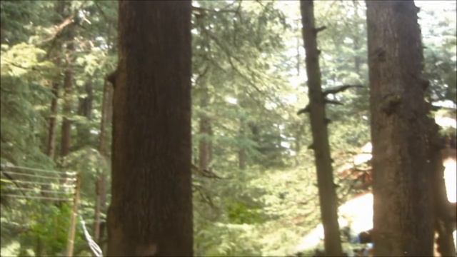 Напутствие 60. Высочайший. Карты Шивы - Школа Высочайшей Мудрости смотреть онлайн