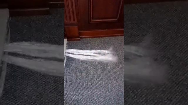 Сушка ковролина (экспресс-сушка феном ) смотреть онлайн