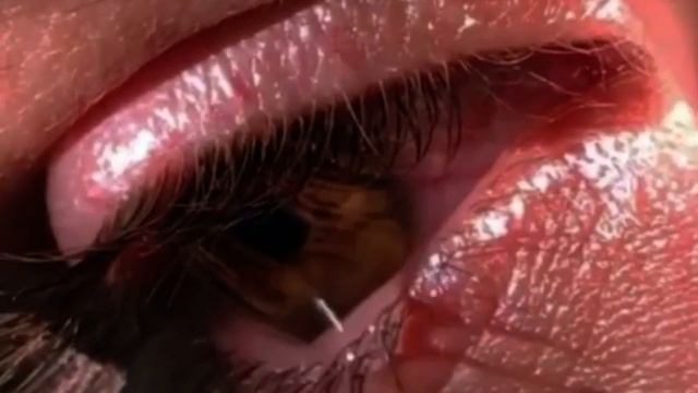 Как же я хочу отмотать время назад… и исправить все то, из-за чего сейчас так болит душа😢❤️🩹 смотреть онлайн