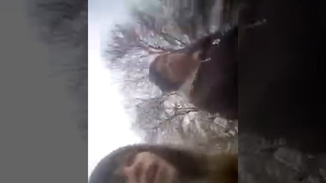 идем в вилково пешком 1 часть смотреть онлайн