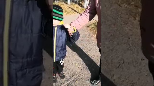 ПДД- безопасность при переходе через дорогу смотреть онлайн