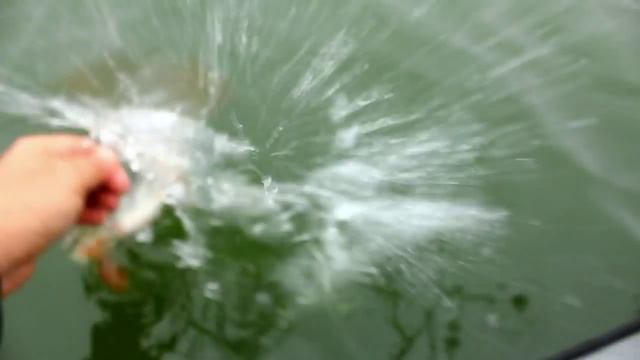 Подари бойцу жизнь! Боевой окунь смотреть онлайн