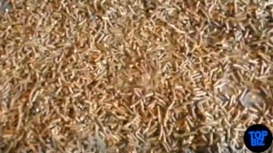 Станки для малого бизнеса в гараже. Топ 20 станков для бизнеса. Оборудование для производства