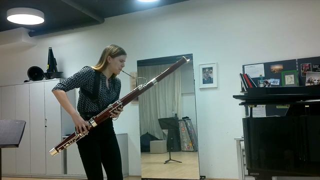 Halina Maas Masterstudium Videoprüfung смотреть онлайн