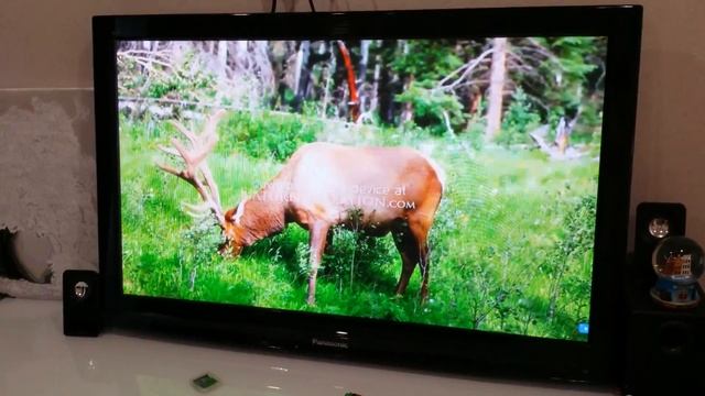 Телевизор Panasonic TX-PR37C2 VIERA -42" (106 см) смотреть онлайн