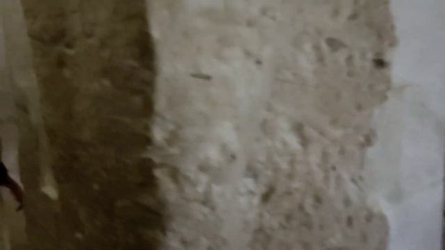 Excursion in Luxor with English speaking guide. Луксор. Долина царей. Археологические раскопки. смотреть онлайн