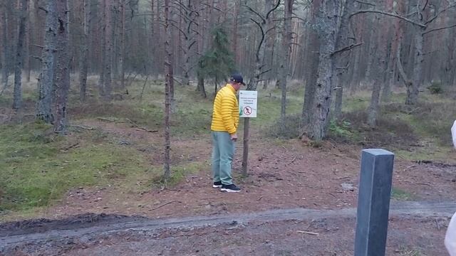 Осень в Калининграде 2022 смотреть онлайн